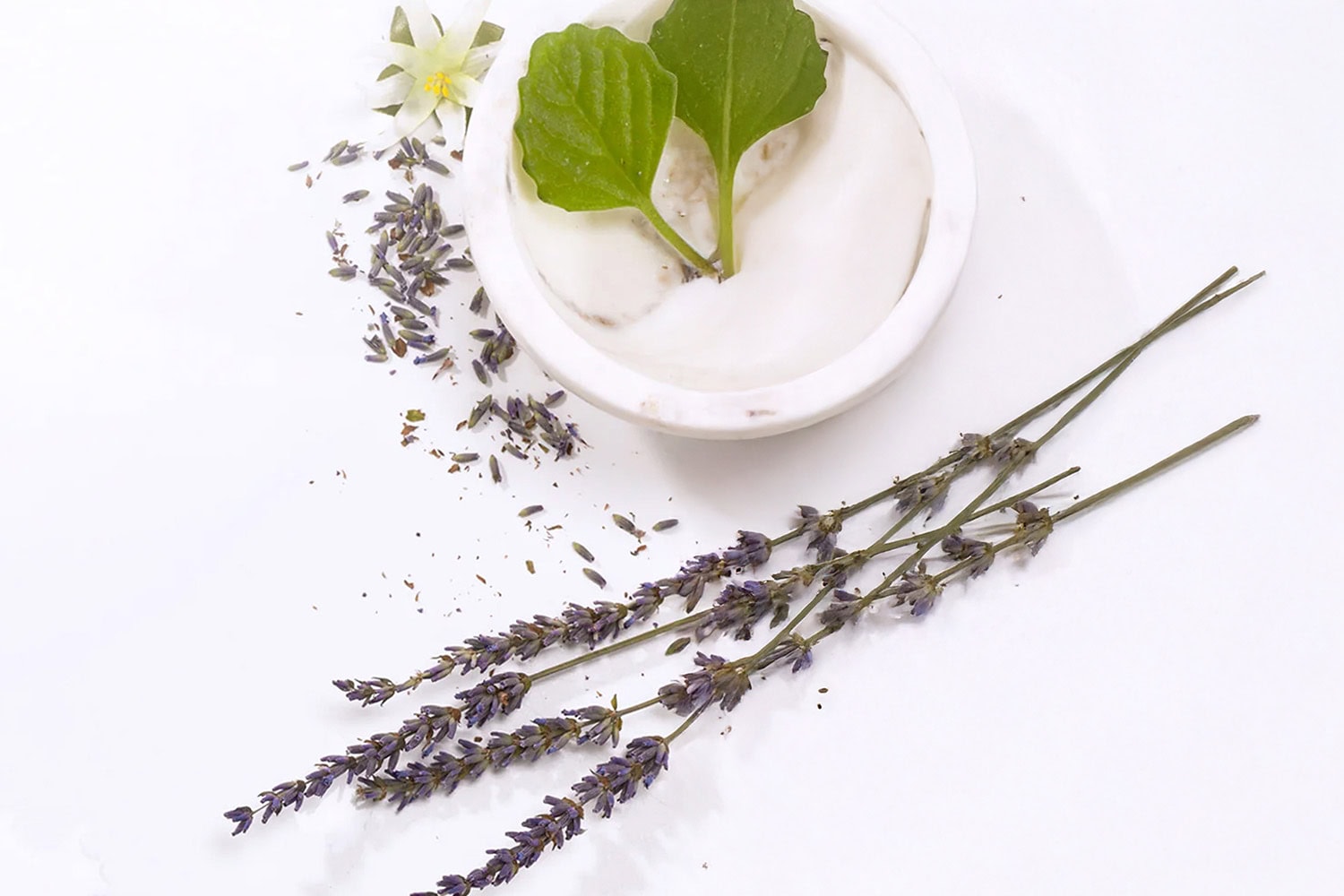 cream in marble bowl with lavender next to it