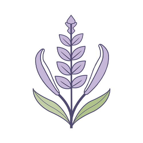 graphic of lavender