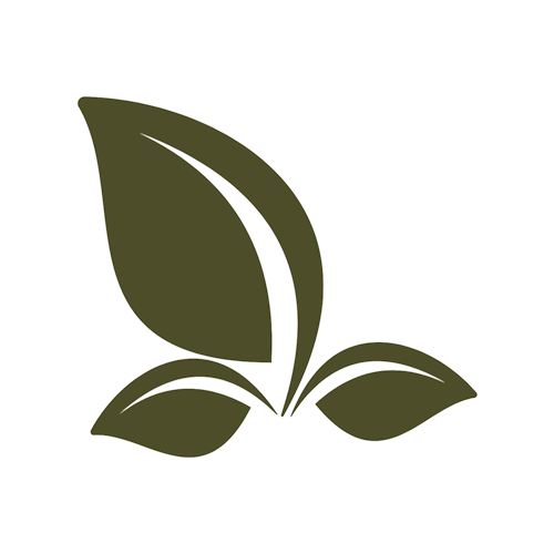 graphic of green leaves