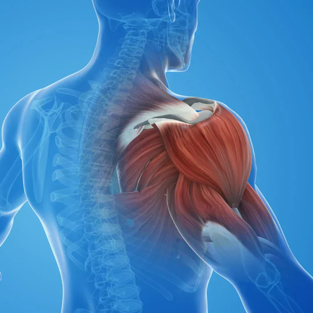 Rotator Cuff Pain Symptoms and Relief: What Actually Helps