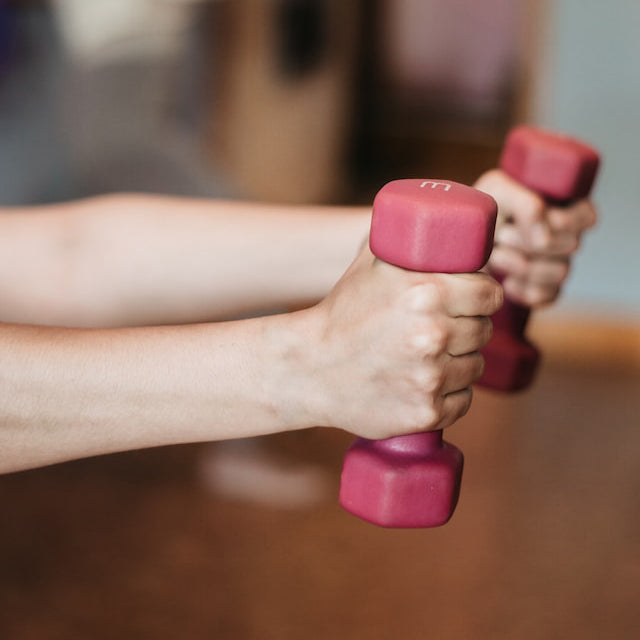 person holding small weights 