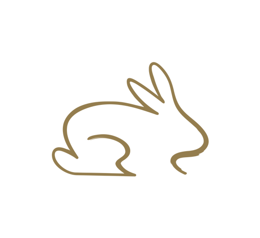 graph of bunny